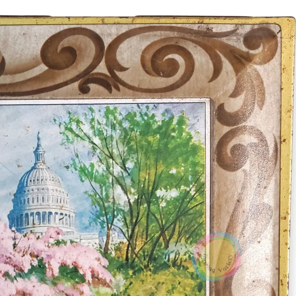 Large Vtg Sunshine Biscuits Tin - DC Capitol & Cherry Blossoms